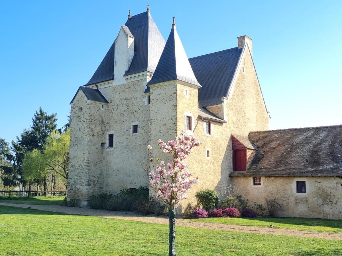 Manoir De La Beuneche - Location Du Manoir Entier Roeze-sur-Sarthe المظهر الخارجي الصورة