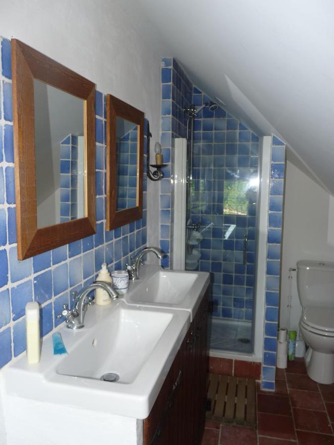 Manoir De La Beuneche - Location Du Manoir Entier Roeze-sur-Sarthe المظهر الخارجي الصورة