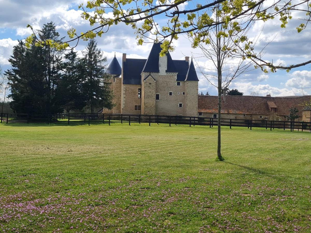 Manoir De La Beuneche - Location Du Manoir Entier Roeze-sur-Sarthe المظهر الخارجي الصورة